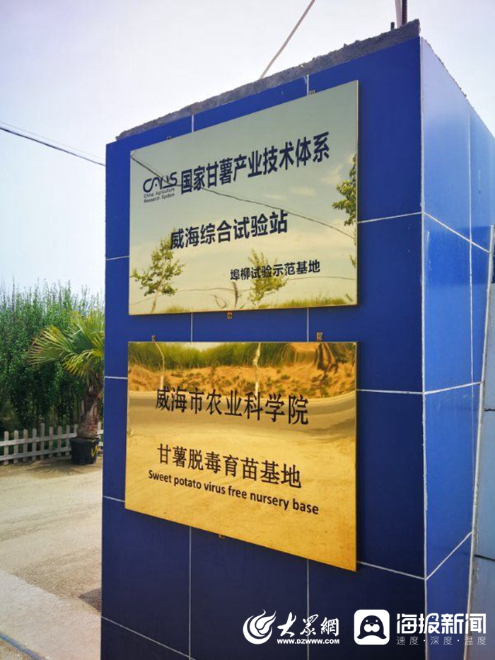 信息化賦能扶貧攻堅，激活鄉(xiāng)村振興新引擎